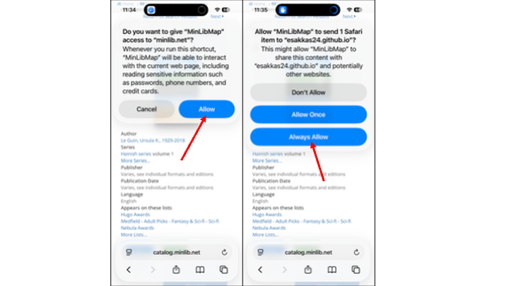 iOS permission prompt for website and location access
